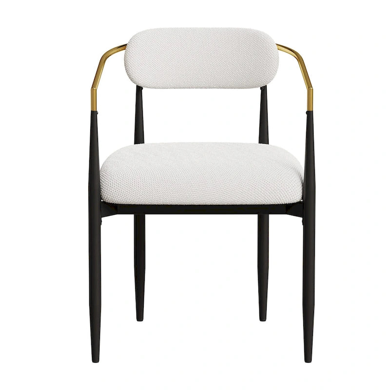 Lot de 2 chaises de salle à manger médiévales modernes, velours teddy, pieds en métal