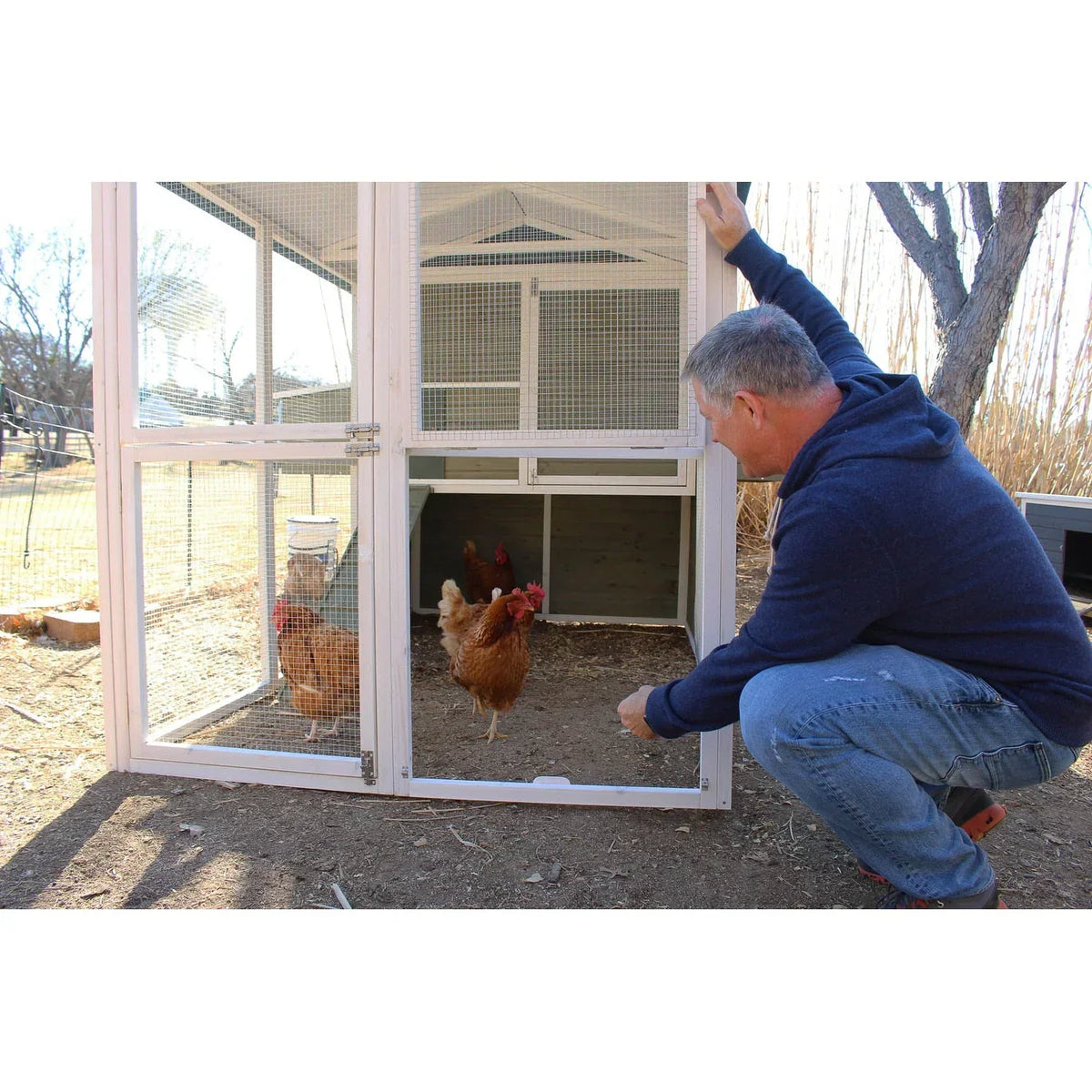 Zylina Big Green Chicken Coop
