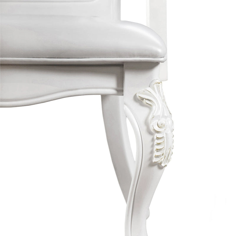 Chaises de salle à manger avec accoudoirs Eugene de Furniture of America, en bois massif traditionnel, avec garniture cloutée et pieds cabrioles (Lot de 2)